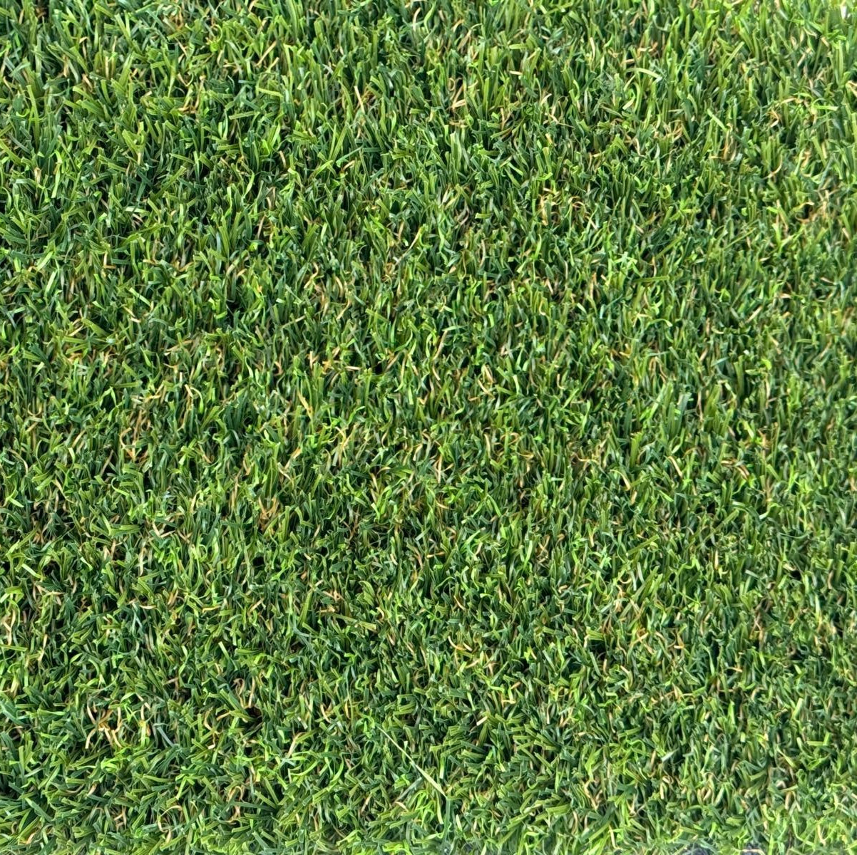 40mm Superlawn Natural £19.99 m2