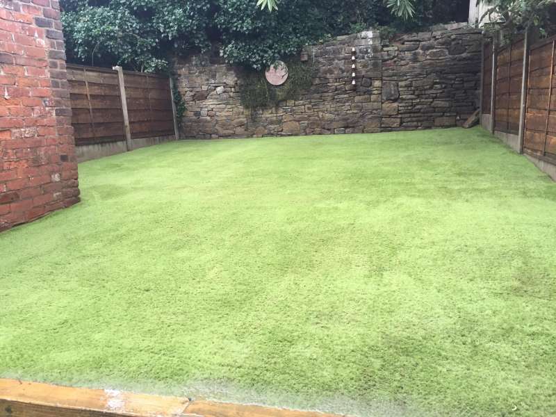 Artificial Grass Maintenance Service and Artificial Grass Valeting Packages