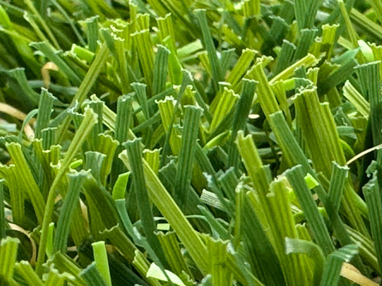 32mm Superlawn Extreme £17.95 m2