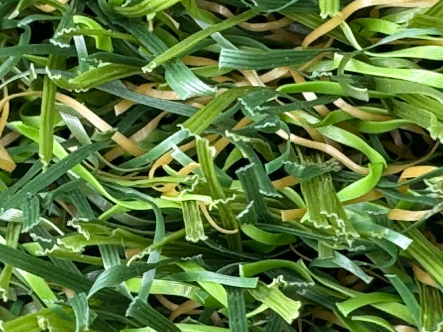45mm Superlawn Natural £22.95 m2