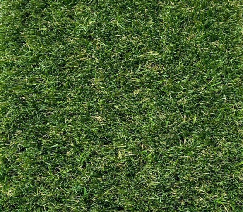 30mm Superlawn Natural £17.50 m2