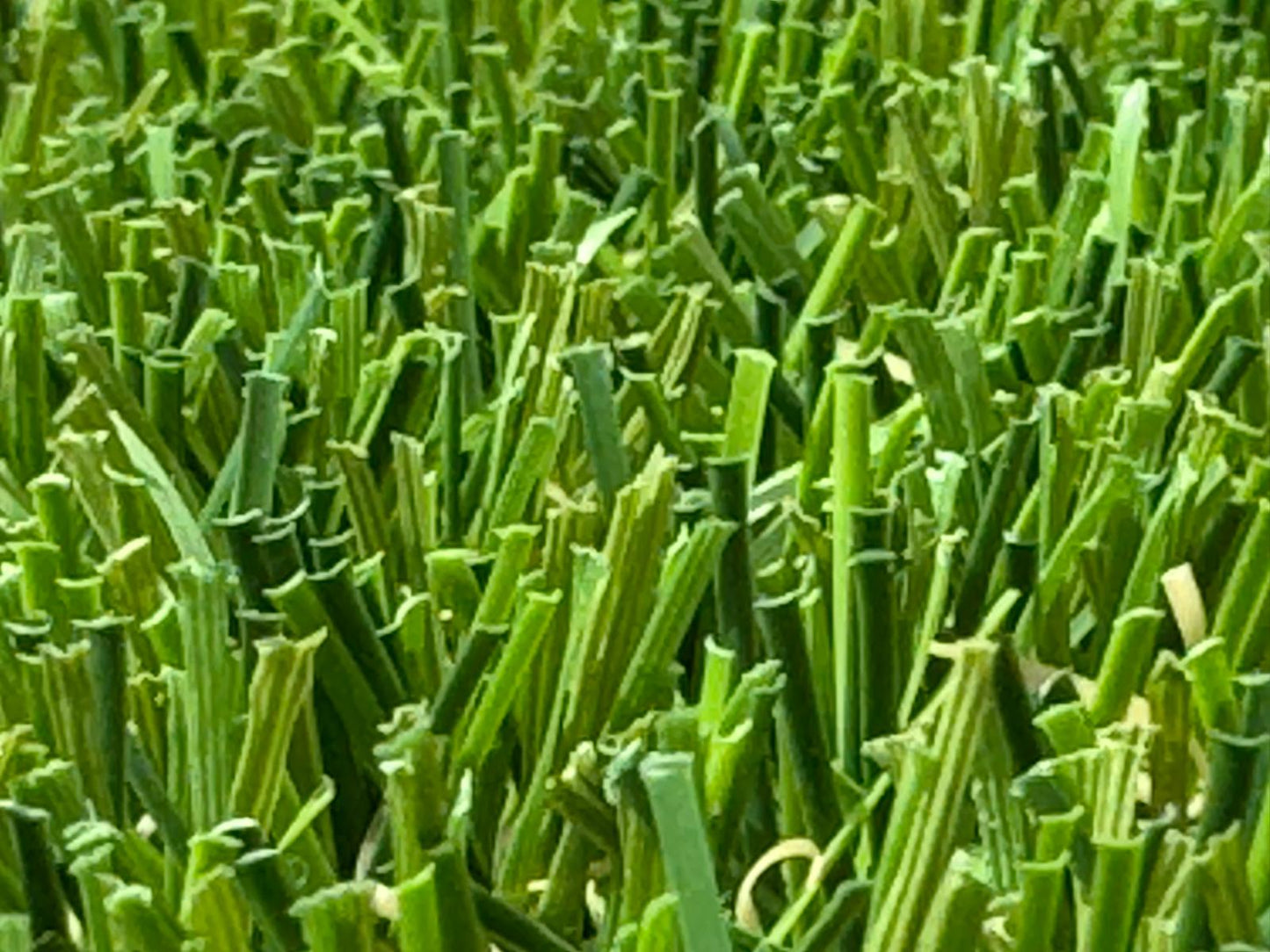 35mm Superlawn Classic Plus £15.99 m2